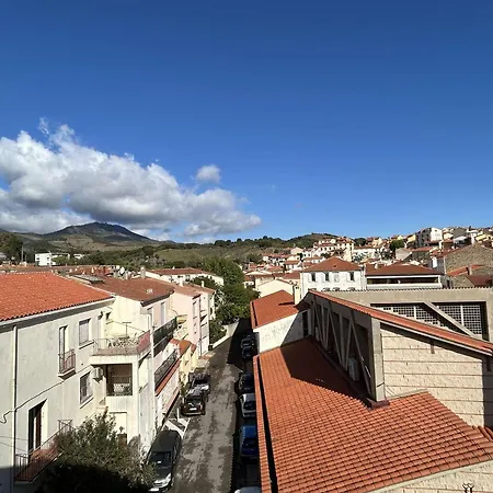 Duplex A Banyuls-sur-mer, 4 Couchages, Et Commerces A Proximite - Fr-1-225c-141 Apartment