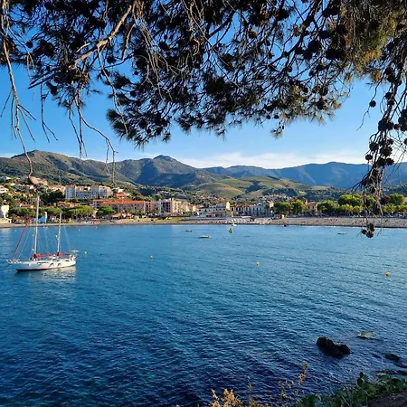Apartment Duplex A Banyuls-sur-mer, 4 Couchages, Et Commerces A Proximite - Fr-1-225c-141 Banyuls-sur-Mer